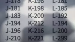 Frame #195809