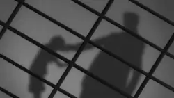 Frame #189643