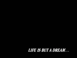 Frame #131630