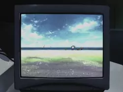 Frame #131855