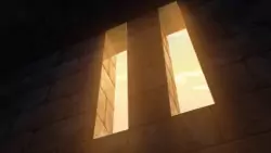 Frame #248461