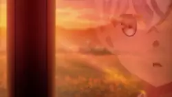 Frame #248375
