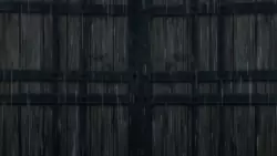 Frame #248854
