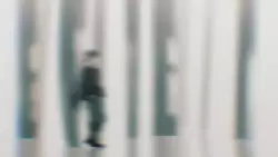 Frame #239601