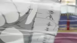 Frame #273289