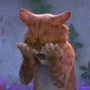 Cattus